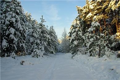 《寂静岭》多个游戏疑似泄露 登陆Steam和PlayStation